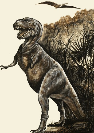 Tyrannosaurus Rex alkotó: English School