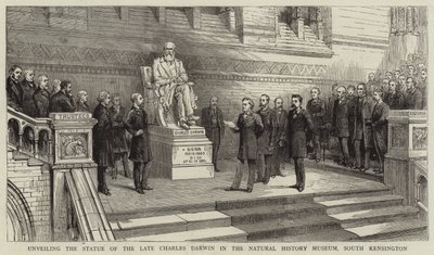 A néhai Charles Darwin szobrának leleplezése a South Kensington-i Természettudományi Múzeumban alkotó: English School