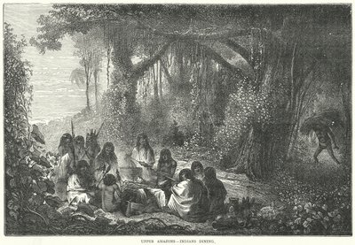 Felső-Amazónok - Indiánok étkeznek (metszet) alkotó: English School