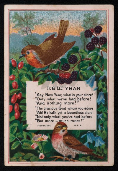 Vers, bogyók és madarak, újévi üdvözlőlap. (chromolitho) alkotó: English School