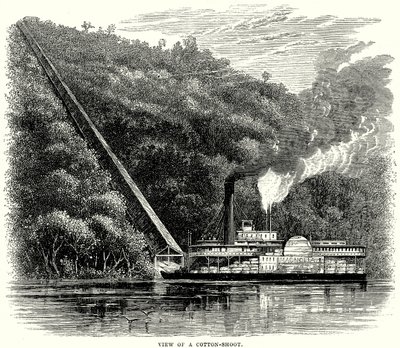 Egy gyapotfűzér látképe (metszet) alkotó: English School