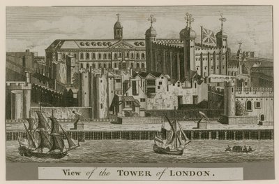 Kilátás a Tower of Londonra alkotó: English School
