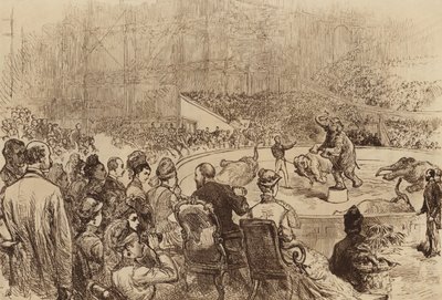 Walesi herceg és hercegnő, valamint Görögország királya és királynője látogatása, 1876 alkotó: English School