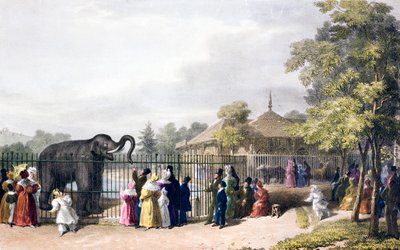 Látogatók a londoni állatkertben, Regent
