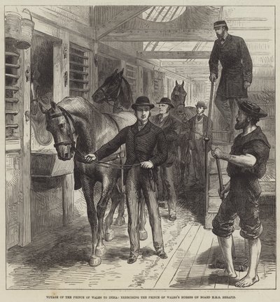 A walesi herceg útja Indiába, a walesi herceg lovainak gyakorlatozása a HMS Serapis fedélzetén (metszet) alkotó: English School