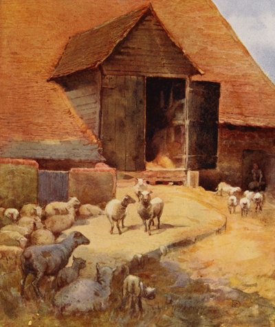 Nyírásra vár (színes litó) alkotó: English School