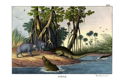 Warthog alkotó: English School