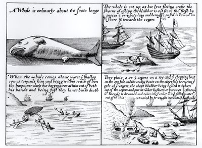 Bálnavadászat a Spitzbergákon 1611-ben alkotó: English School
