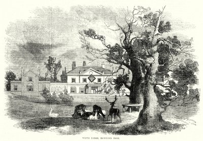 White Lodge, Richmond Park (metszet) alkotó: English School