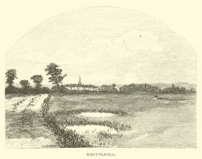 Whittlesea alkotó: English School