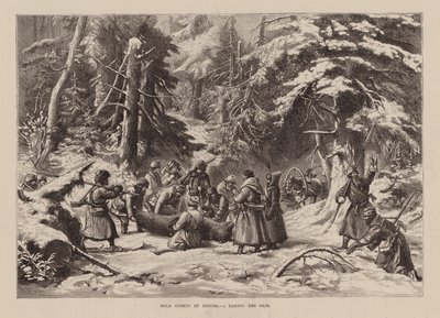 Oroszország vad sportjai, I, A bőr levétele (metszet) alkotó: English School