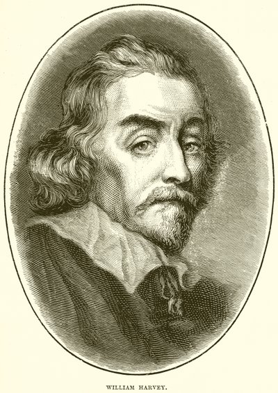 William Harvey alkotó: English School