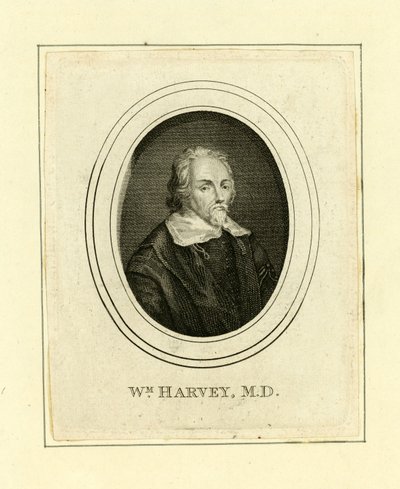 William Harvey alkotó: English School