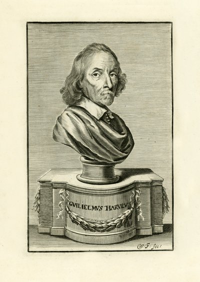 William Harvey alkotó: English School