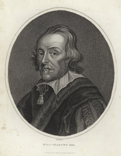 William Harvey alkotó: English School