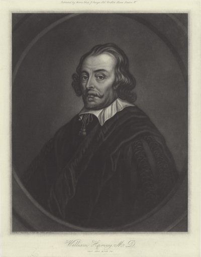 William Harvey angol orvos alkotó: English School