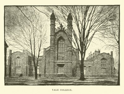 Yale College alkotó: English School