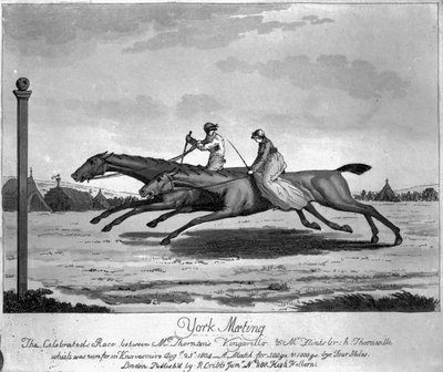 York-i találkozó, The Celebated Race Mr. Thornton „Vingarillo” és Mr. Flint „Thornville” című műve között, 1804. augusztus 25. (rézkarc) alkotó: English School