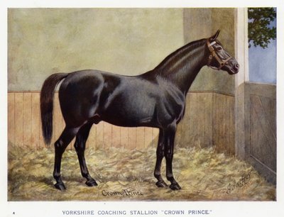 Yorkshire Coaching mén "Crown Prince" (színes litho) alkotó: English School