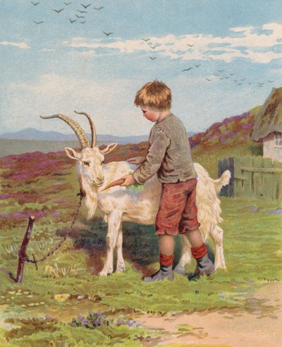Fiatal fiú sárgarépát etet egy kecskével egy farmon (chromolitho) alkotó: English School