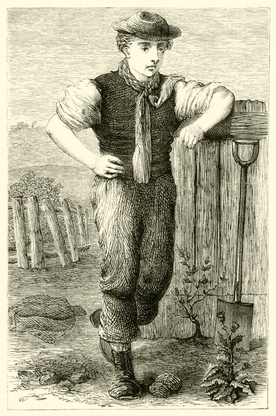 Fiatal kertész (metszet) alkotó: English School