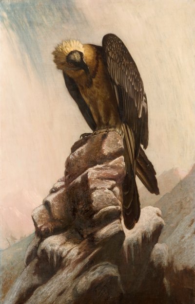 Eagle on Cliff alkotó: English School English School