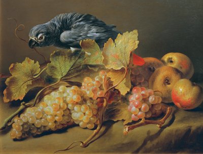 Csendélet papagájjal és szőlővel alkotó: Erasmus von Engert