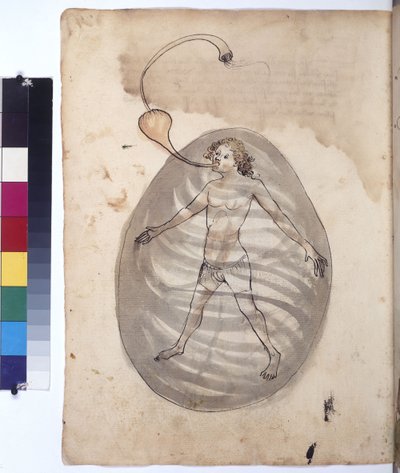 Egész oldal: búvár, 1430 körül (színes tollrajz) alkotó: Erich Lessing