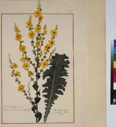  alkotó: Erich Lessing