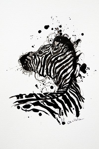 Vad zebra tintacsepp alkotó: Erik Van Velzen