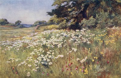Napsütés Meadowlandben alkotó: Ernest Benger or Berenger