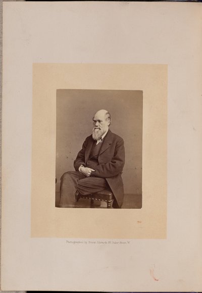 Charles Robert Darwin alkotó: Ernest H. Edwards