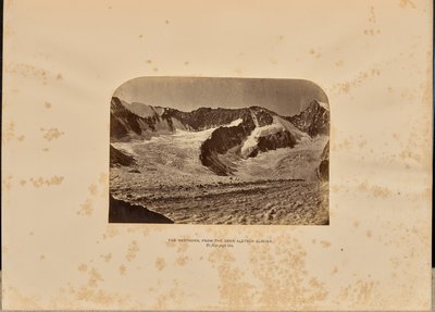 A Nesthorn az Ober Aletsch-gleccserről alkotó: Ernest H. Edwards