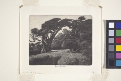 Cypress Bower (mezzotint) alkotó: Ernest Haskell