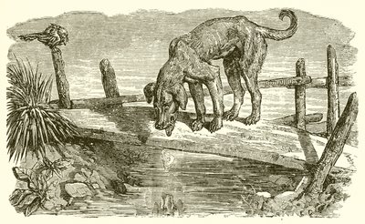 A kutya és az árnyéka alkotó: Ernest Henry Griset