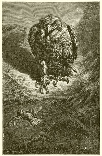 A sólyom és a fülemüle alkotó: Ernest Henry Griset