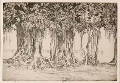A Banyan fa alkotó: Ernest Stephen Lumsden