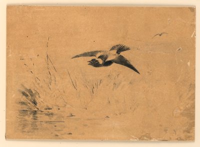 Bobolink alkotó: Ernest Thompson Seton