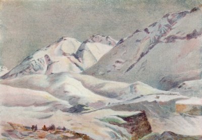 Andok (színes litho) alkotó: Ernest William Christmas