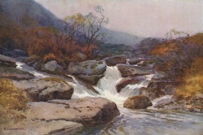 Dartmoor-patak (színes litó) alkotó: Ernest William Haslehust