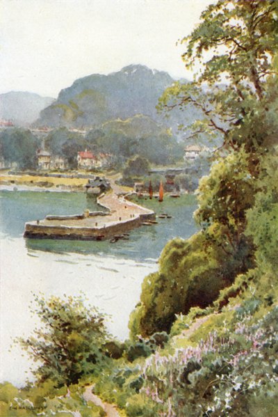 Aberdour (színes litó) alkotó: Ernest William Haslehust