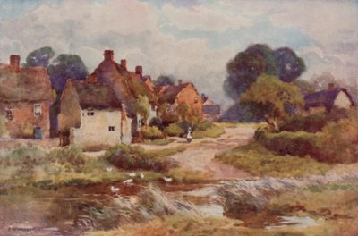 "Beggarly Broom" (színes litó) alkotó: Ernest William Haslehust
