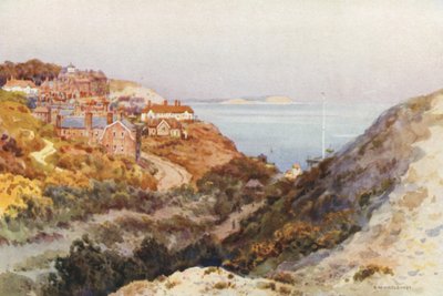 Boscombe Chine (színes litó) alkotó: Ernest William Haslehust