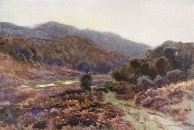 Broomy Water (színes litho) alkotó: Ernest William Haslehust