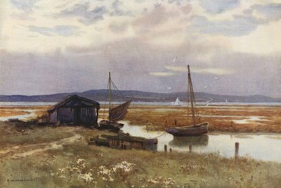 Lepe (színes tagok) alkotó: Ernest William Haslehust