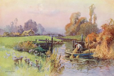 Temze folyó: (színes litográfia) alkotó: Ernest William Haslehust