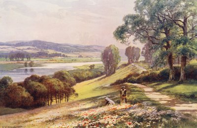 Temze folyó: Bourne End Quarry Hill felől (színes litográfia) alkotó: Ernest William Haslehust
