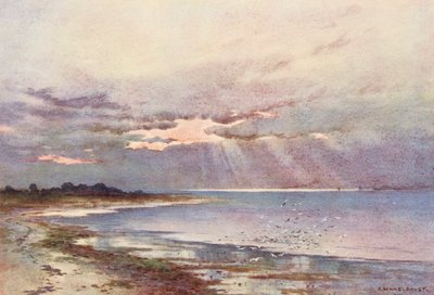 Temze folyó: (színes litográfia) alkotó: Ernest William Haslehust