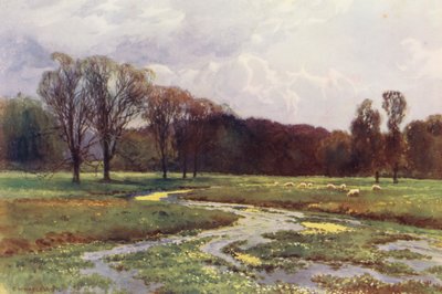 Temze folyó: Temze-fej (színes litográfia) alkotó: Ernest William Haslehust