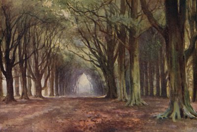 The Beech Avenue, Thoresby (színes litó) alkotó: Ernest William Haslehust